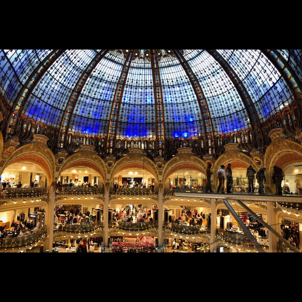 Meet your Posher, Shirley